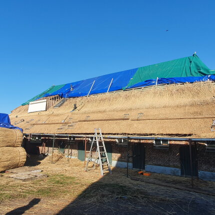 Project Wesepe